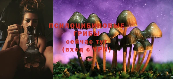 бутират Кодинск