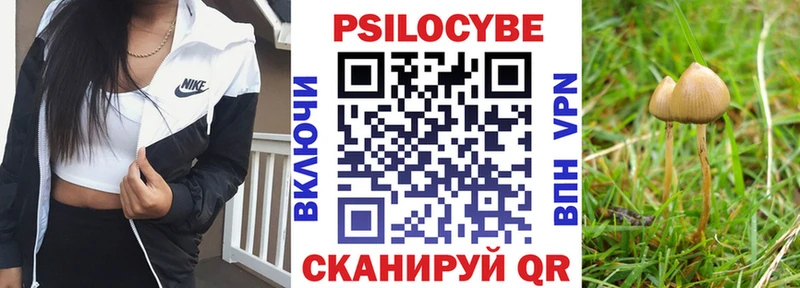 Галлюциногенные грибы Magic Shrooms  Кузнецк 