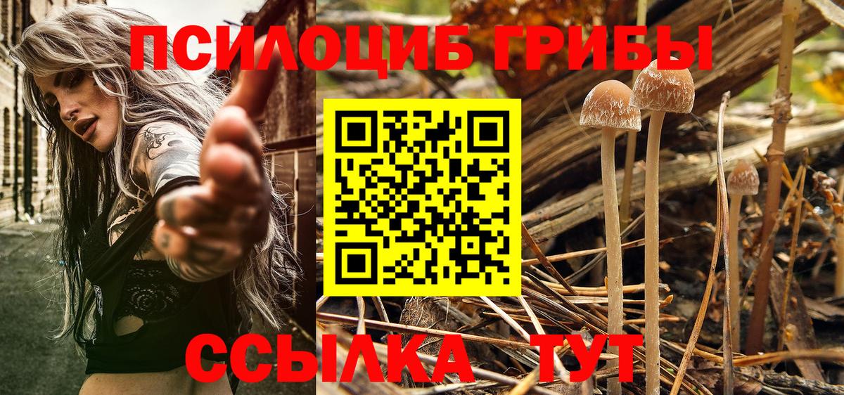 Галлюциногенные грибы прущие грибы  Вход с VPN  Кузнецк  Псилоцибиновые грибы Psilocybe 